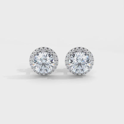 Aureus Halo Stud Earrings